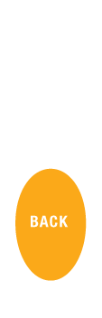 12oz long bottle Front & Back Oval Back